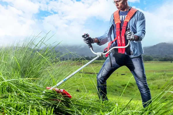Capable Brush Cutters & Grass Trimmers Manufacturer2