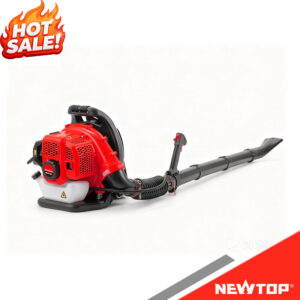 Souffleur de feuilles NTLB808A