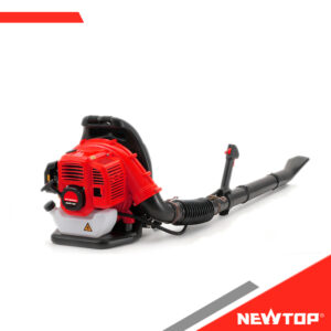Souffleur de feuilles NTLB809A