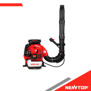 Souffleur de feuilles NTLB900