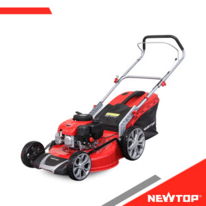 Tondeuse à gazon NTLM51-2L(NP170)