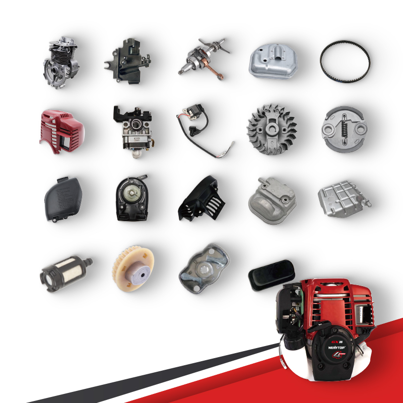 الصورة الرئيسية صحيحة