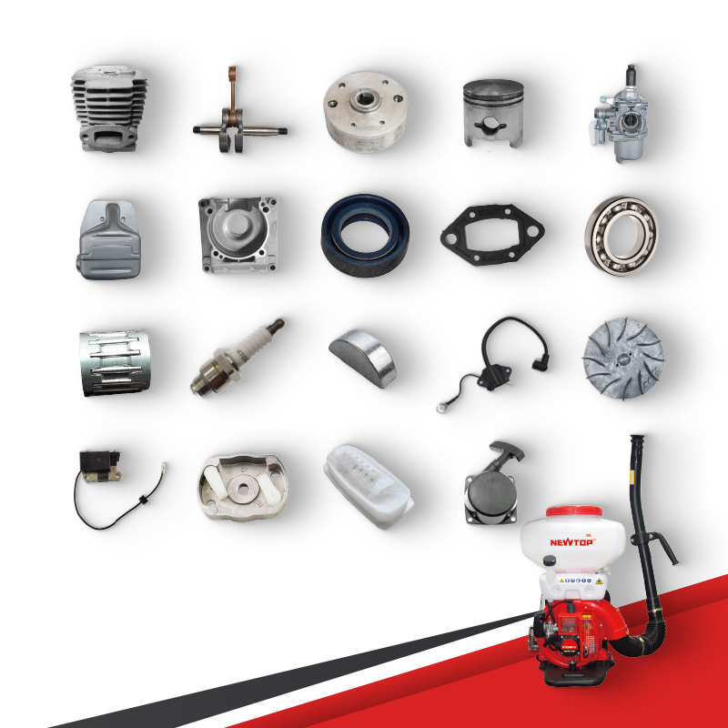 Основная картинка верная