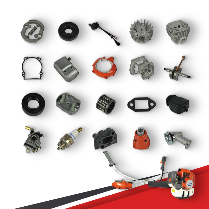 الصورة الرئيسية صحيحة