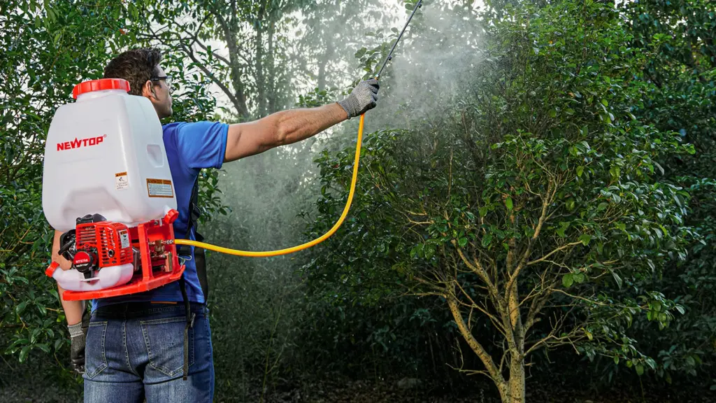 NEWTOP is Branching Out in 65+ Regions, You Can Be Next9