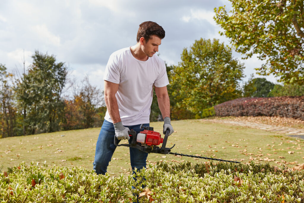 Best Gasoline Pole Hedge Trimmer