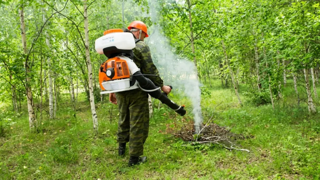 Agricultural worker spraying trees with mist blower in woods