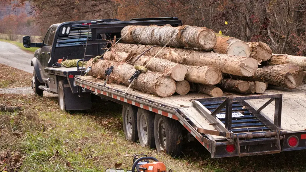 a truck loaded with logs