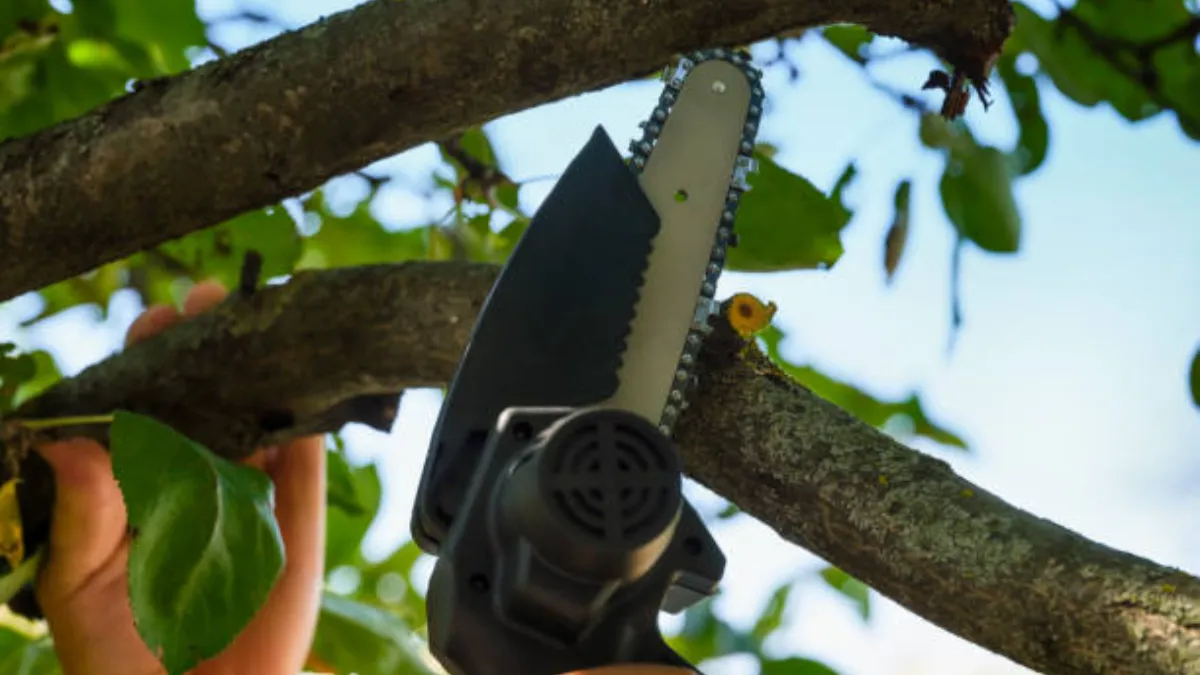 cutting a tree with a handheld chainsaw