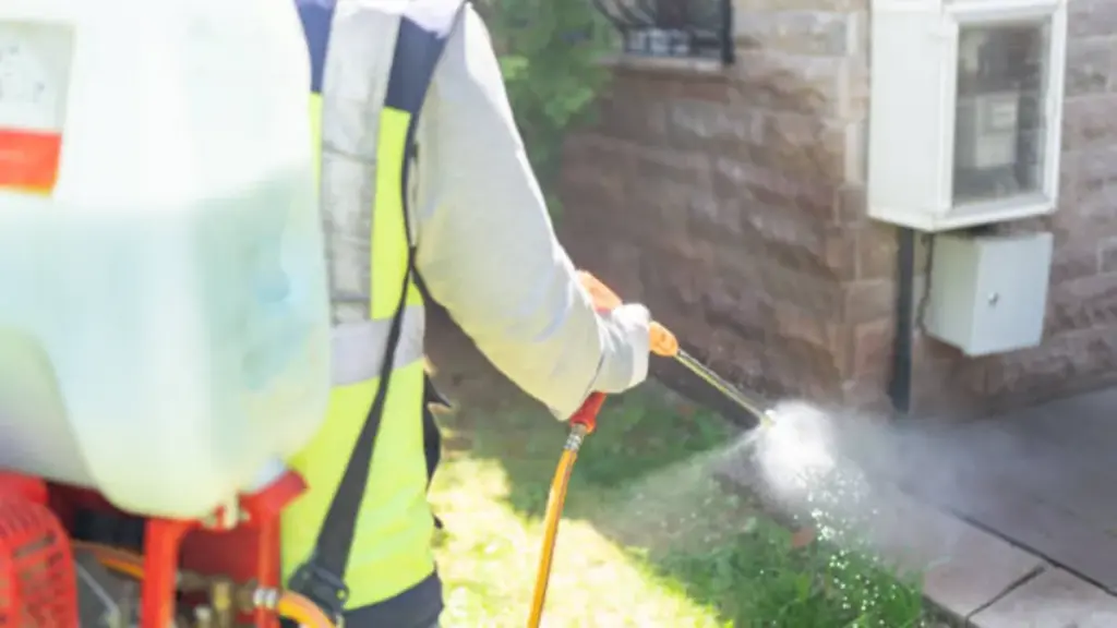pest control with knapsack sprayer