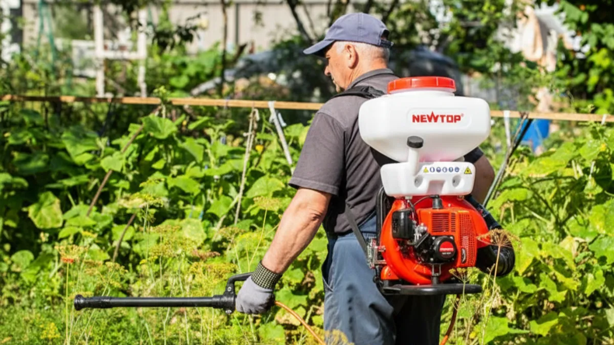 worker fogging vegetables