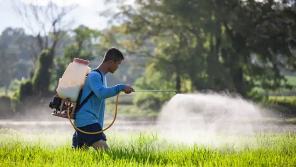 worker spraying fertilizer on the farm