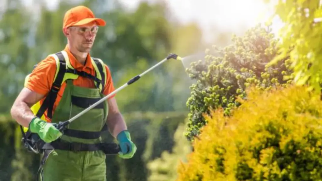 worker spraying plants