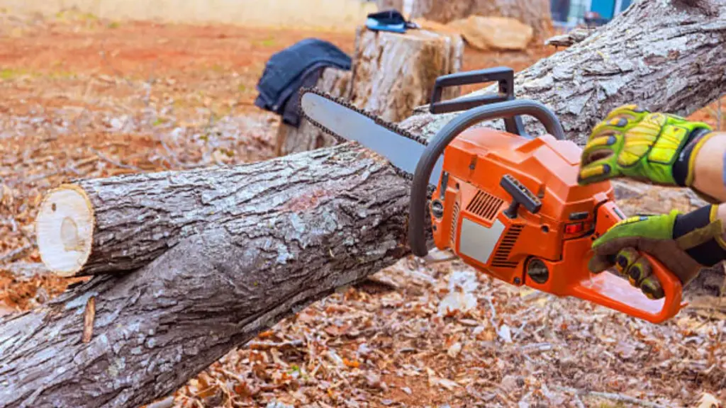 logger man cutting tree trunk with chainsaw