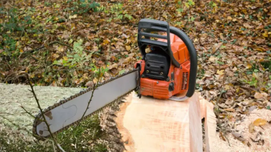 the chainsaw outdoor