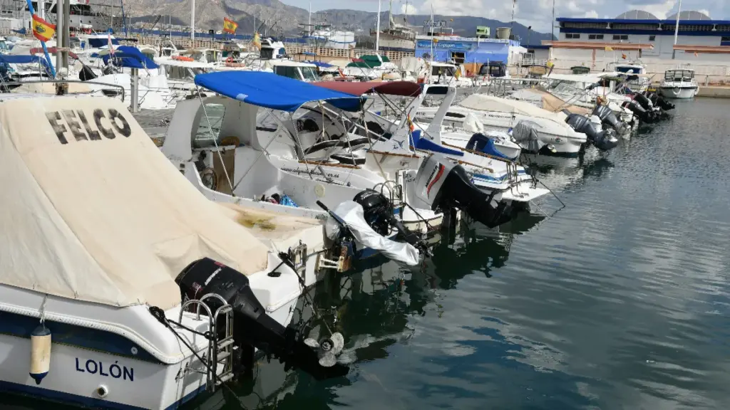 boats docked in the marina