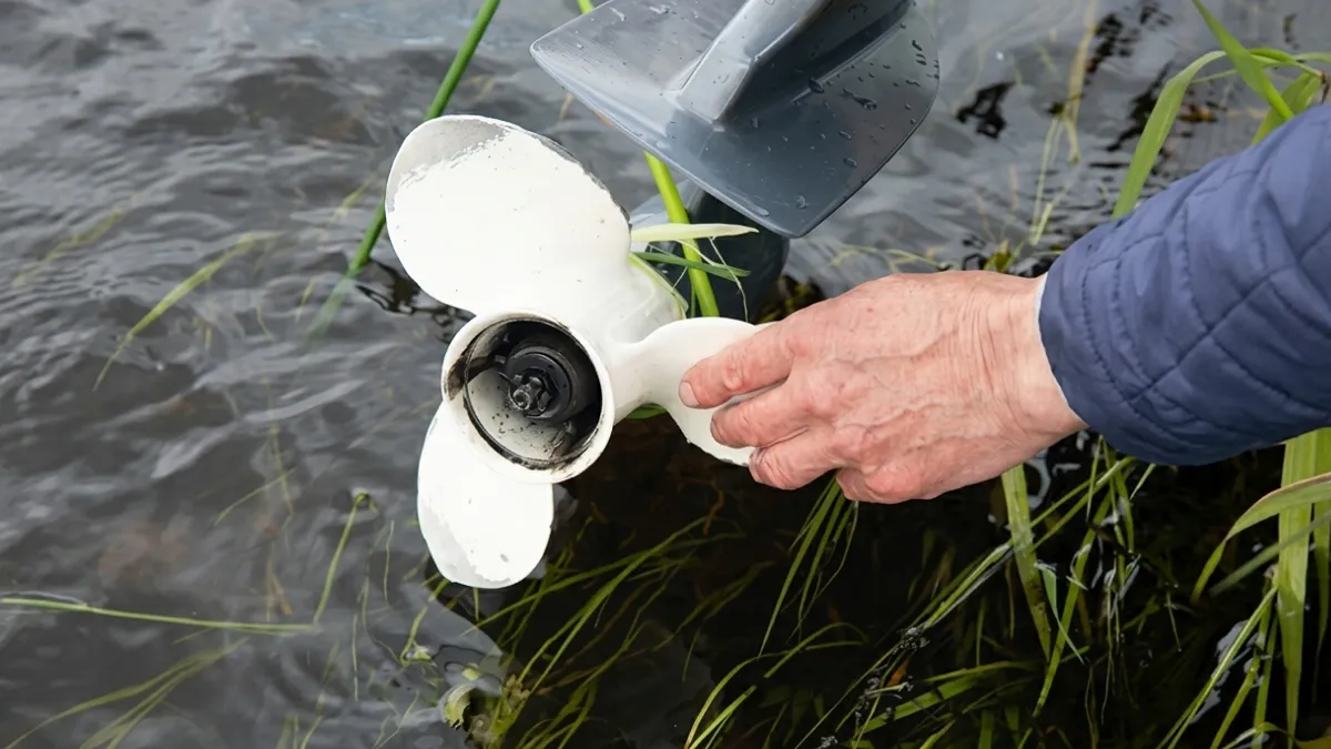 La main touche une hélice de bateau blanche enchevêtrée dans l'eau
